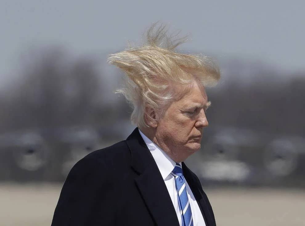 Donald Trump in profile on an airport tarmac, hair lifted by the wind